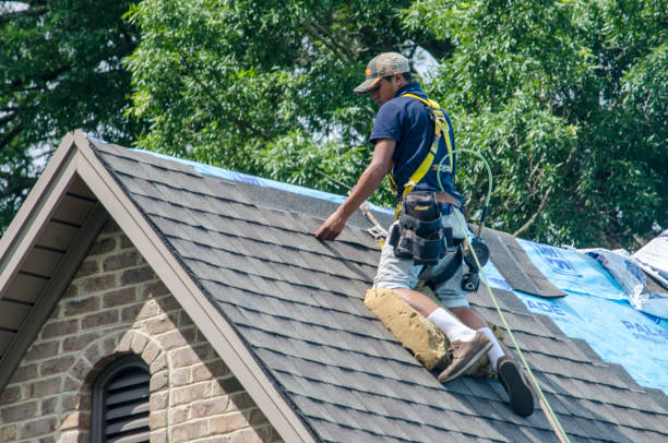 Best Metal Roofing Contractor  in Granger, IN